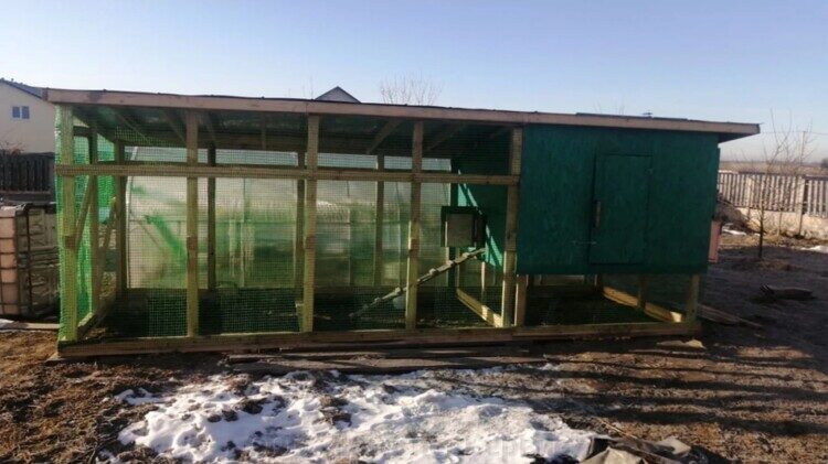 Сетка для птичников Ф-17 1х10м., ячейка 20х20мм, Зеленая